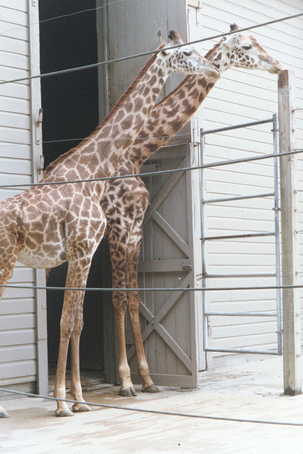 017_14a.jpg
